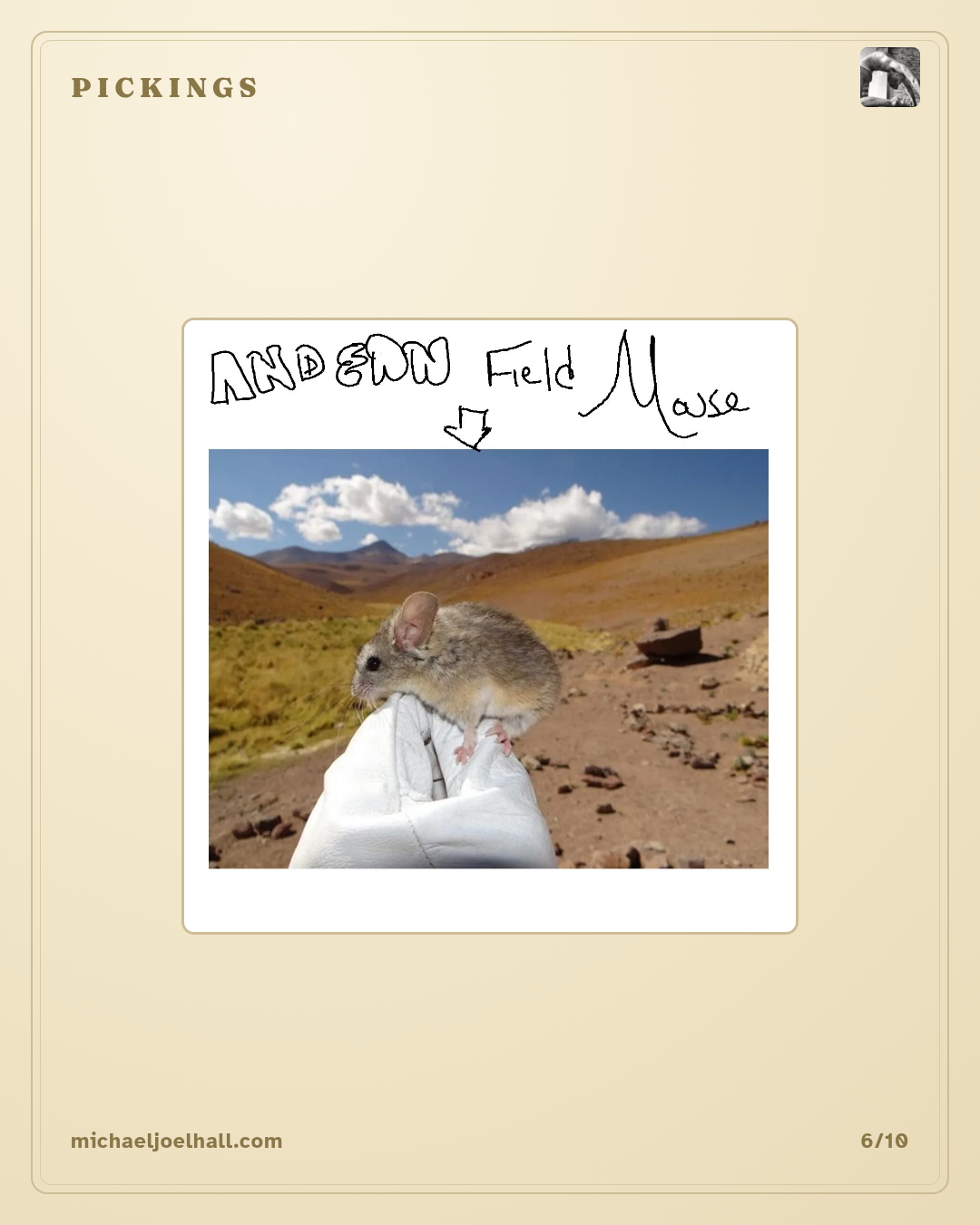 MichaelFilter card 6